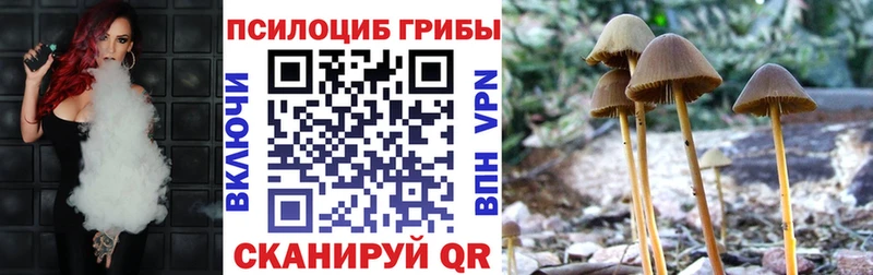 Галлюциногенные грибы Psilocybe  darknet телеграм  Невельск  купить  